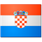 Boras/Zeljkovic flag
