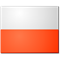 Brzostek/Wojtasik flag